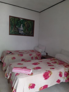  Jasmine Inn  Nusapenida